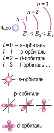Состояние электрона в атоме. Электронная оболочка - совокупность всех электронов атома. Электронная орбиталь - область пространства вокруг ядра, в пределах которой наиболее вероятно нахождение электрона. Энергетический уровень - совокупность электронов с близкими значениями энргии. Потенциальная энергия E увеличивается при удалении от ядра. Главное кванотовое чило n - определяет энергию электрона, указывает номер энергетического подуровня. Орбитальное квантовое число  l - определяет подуровень данного энергетического уровня и форму электронной орбитали: l=0, 1, ..., n-1. Магнитное квантовое число  m - определяет пространственное расположение орбитали: m=-l,...,l. Спиновое квантовое число  s - определяет два возможных направления вращения электрона вокруг оси