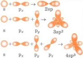 Гибридизация электронных орбиталей