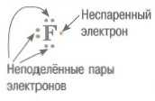 Неподеленная электронная пара - это два электрона на одной орбитали. Неспаренный электрон - это один электрон на орбитали. В образовании химической связи принимают участие неспаренные электроны