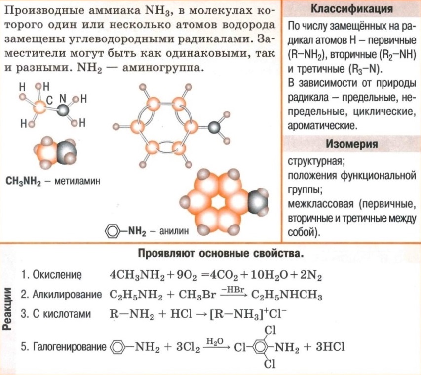 Амины - формулы, классификация, изомерия, свойства (окисление, алкилирование, галогенирование, реакции с кислотами).
