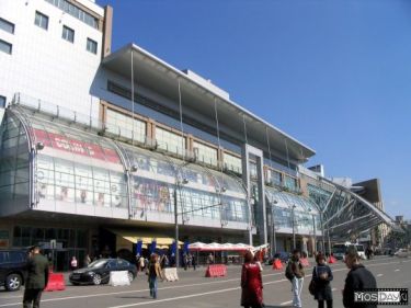 Шанхайская помойка