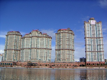 Осиное гнездо